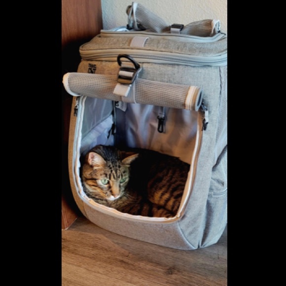 Cat New The Navigator Convertible Cat Backpack For Adventurous Cats